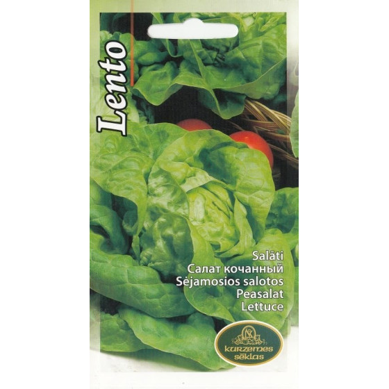 Salāti galviņu Lento 1g (KS)