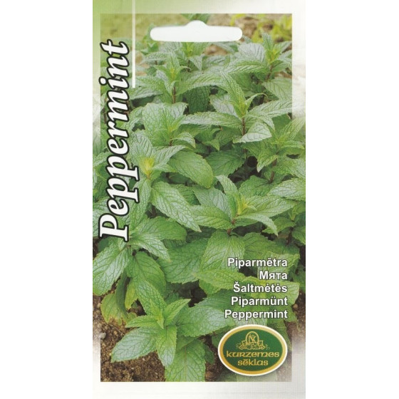 Piparmētra 0.1g (KS)