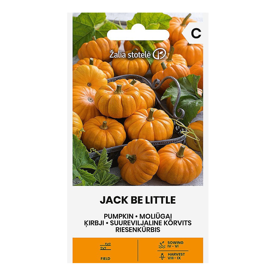 Ķirbji JACK BE LITTLE, Ķirbju sēklas, ķirbji