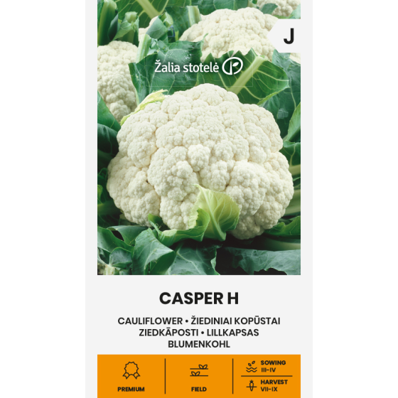 Ziedkāposti CASPER, Ziedkāpostiu sēklas CASPER, Ziedkāpostu sēklas