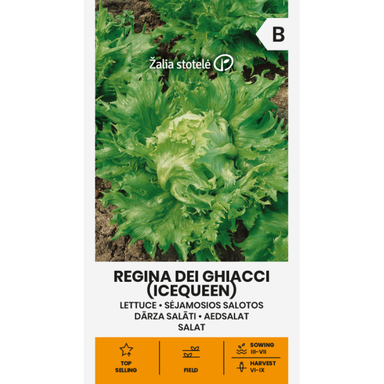 Salāti REGINA DEI GHIACCI
