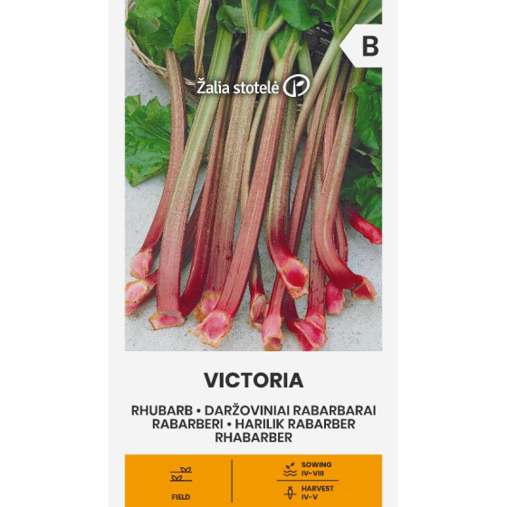 Rabarberi VIKTORIA, Rabarberu sēklas