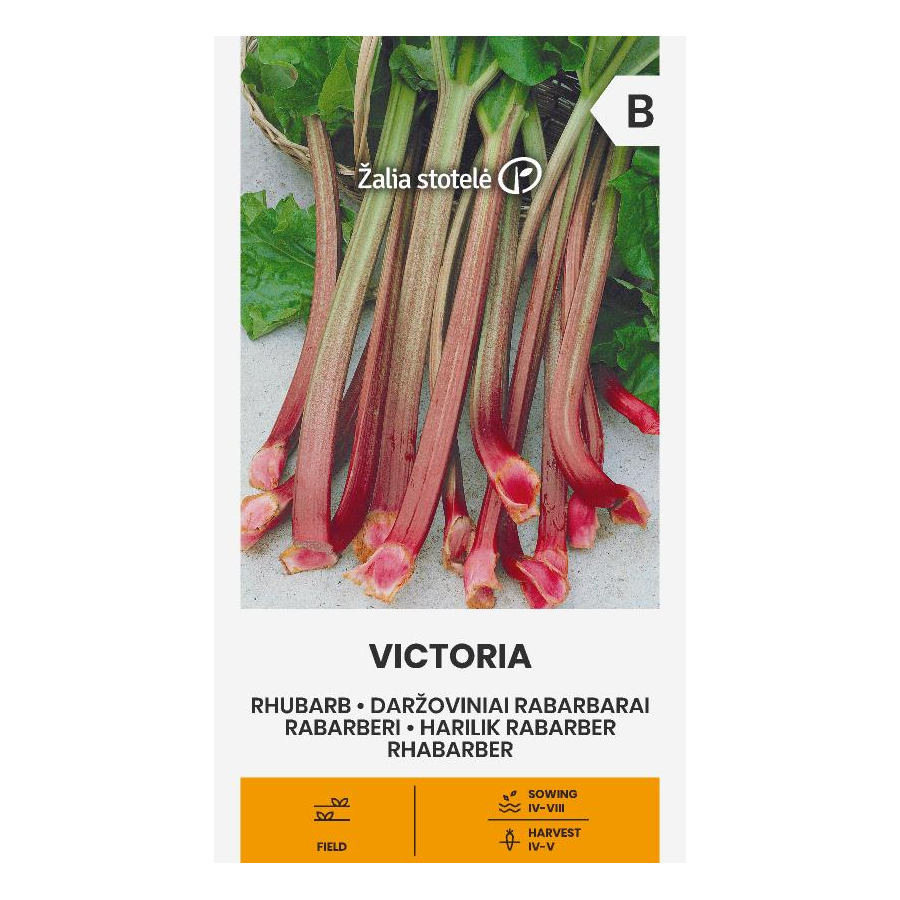 Rabarberi VIKTORIA, Rabarberu sēklas