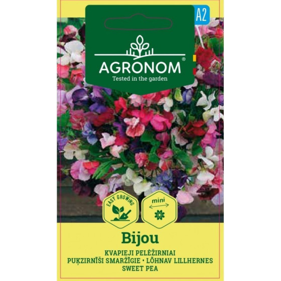 Puķzirnīši smaržīgie BIJOU