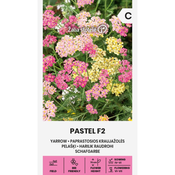 Pelašķi, Pelašķi dekoratīvie, Achillea millefolium, Krāsainie pelašķi, Dekoratīvie pelašķi, Pelašķu sēklas, Achillea Filipenduli