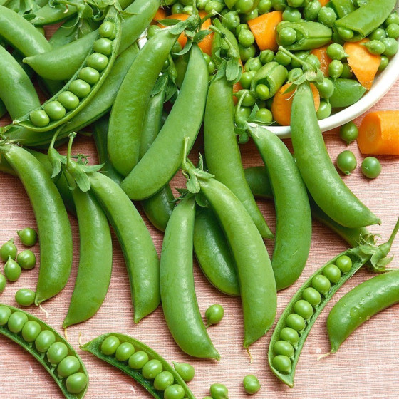 Zirņi AMBROSIA 100g (cukurzirņi), Cukurzirņu sēklas, Zirņu sēklas, Zaļie zirnīši