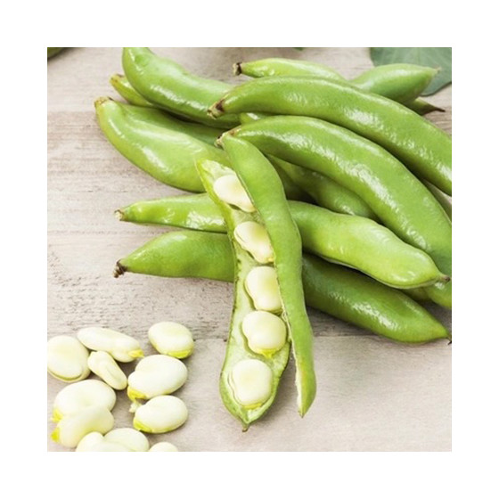 Pupas dārza HANGDOWN WHITE 200g, Cūku pupas, Pupu sēklas, Pupas ielie iepakojumi, Dārza pupas