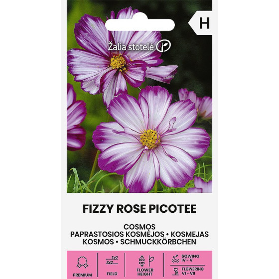 Kosmejas FIZZY ROSE PICOTEE, kosmeja, kosmejas sēklas
