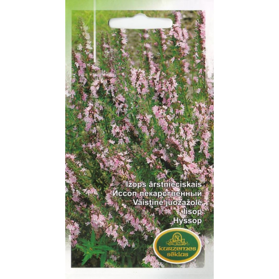 Izops rozā, Izopa sēklas, garšaugi, garšaugu sēklas