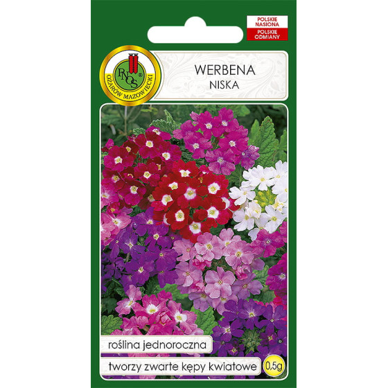 Verbenas, verbenu sēklas, hibrīdās verbenas, nokarenās verbenas, Verbena hybrida nana compacta