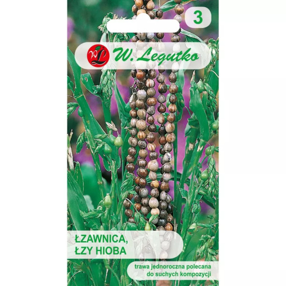 Kaulsēkle, Ījaba asaras, Coix lacryma- jobi