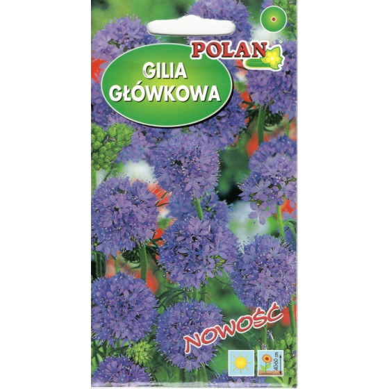 Gilia leptantha, Puķe Gilia, Lodveida Gilia, Gilia lodveida