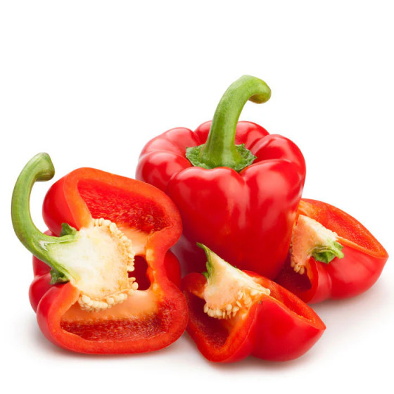 Paprika Jupiter 50s