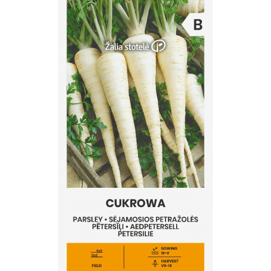Pētersīļi CUKROWA , Pētersīļi ,CUKROWA , pētersīļis, pētersīļu sēklas