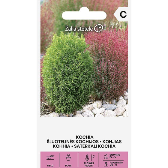 kohijas, kohiju sēklas