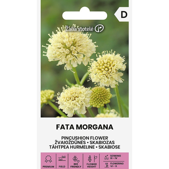 Skabiozas, skabiozu sēklas, scabiosa atropur, skabiozu sēklas Fata Morgana