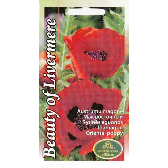 Magones Beauty of Livermere, zīda magones, magones, magoņu sēklas, dekoratīvās magones, puķu sēklas, sēklas