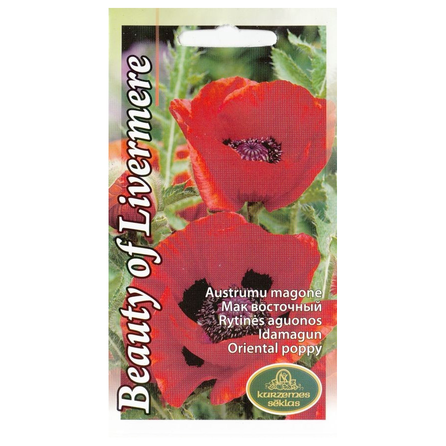 Magones Beauty of Livermere, zīda magones, magones, magoņu sēklas, dekoratīvās magones, puķu sēklas, sēklas