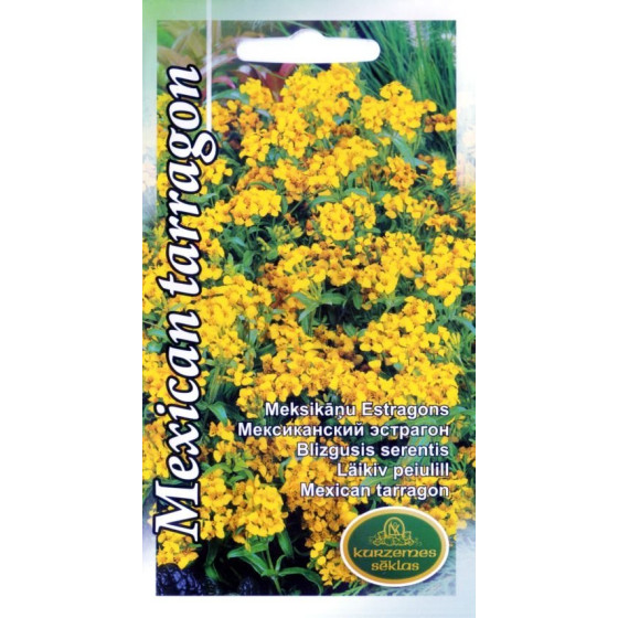 Estragons meksikāņu. Garšvielu samtenes, Tagetes lucida