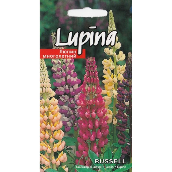 Lupīnas daudzlapu Russel Formula jauktas 1g (KS)