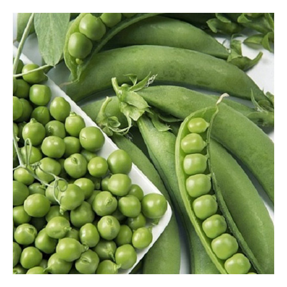 Zirņi Avola, Zirņu sēklas Avola