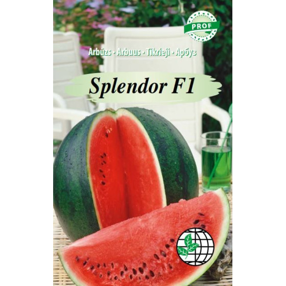 Arbūzi Splendor F1, arbūzu sēklas Splendor F1, Arbūzi