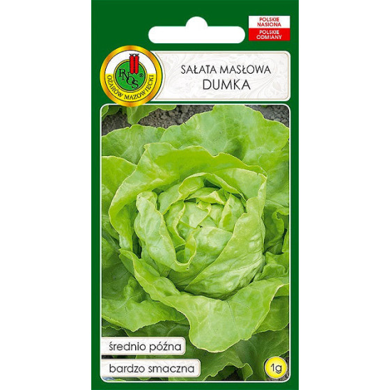 Salāti sviesta Cud Voorburgu, Salātu sēklas, sviesta salāti