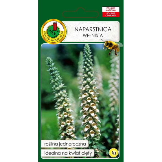Uzpirkstīte vilnainā, Uzpirkstītes vilnainās, Uzpirkstīšu sēklas, Digitalis lantana