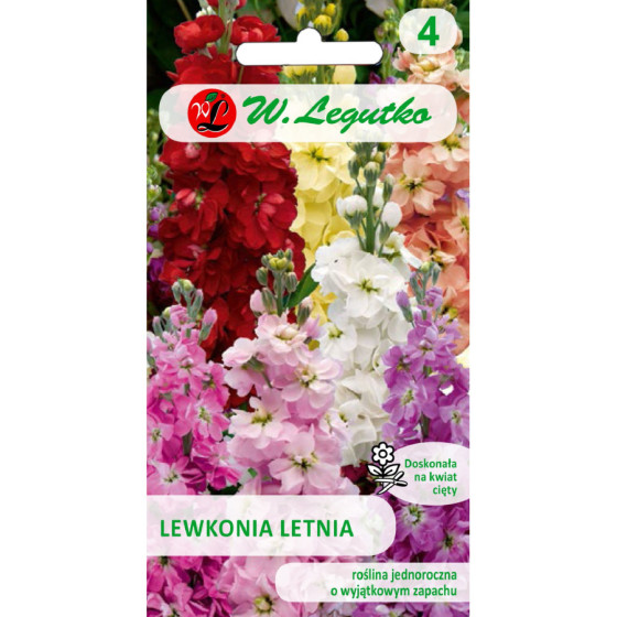 Lefkojas, Lefkojas vasaras, Lefkoju sēklas, Matthiola incana