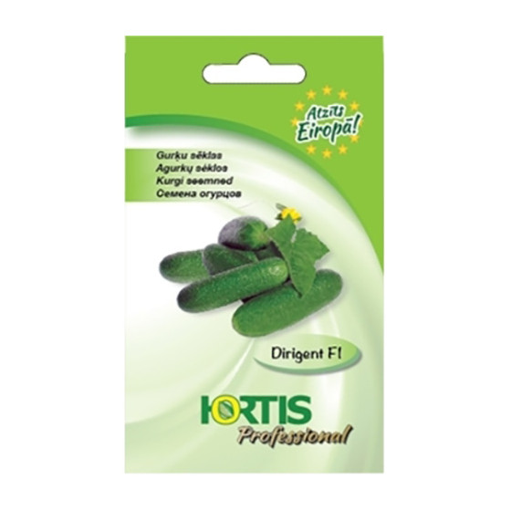 Gurķi Dirigent F1, Gurķu sēklas Dirigent F1