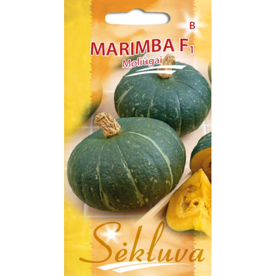 Muskata ķirbji Marimba F1 5s, Ķirbji Marimba F1, Muskatķirbji, Muskatķirbis