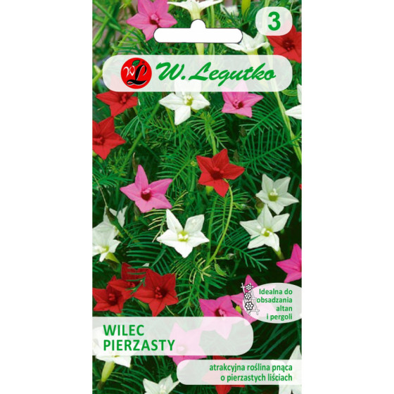 Ipomejas, Ipomeju sēklas, ipomea purpurea, parastās ipomejas