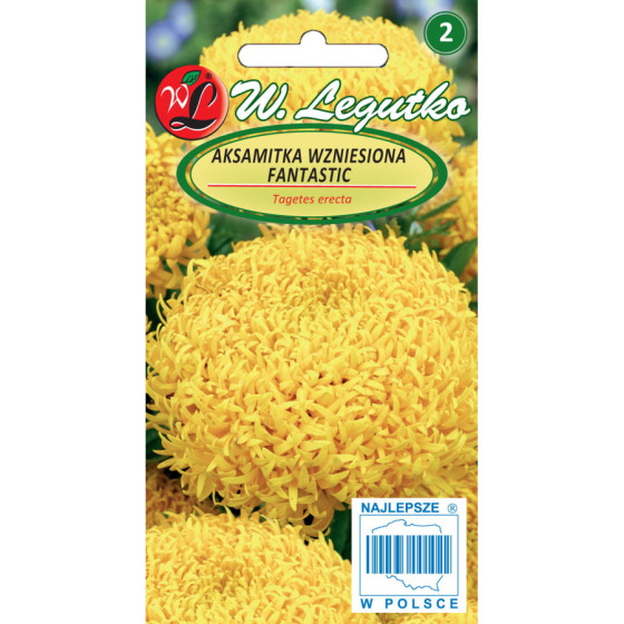 Samtenes augstās Fantastic Yellow, Samteņu sēklas Fantastic, Samtenes Fantastic