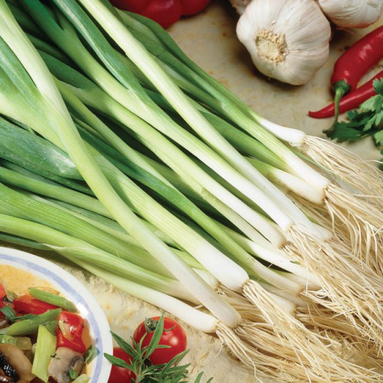 Loku sīpoli, Loku sīpolu sēklas, Sīpoli Parade, Sīpolu sēklas Parade