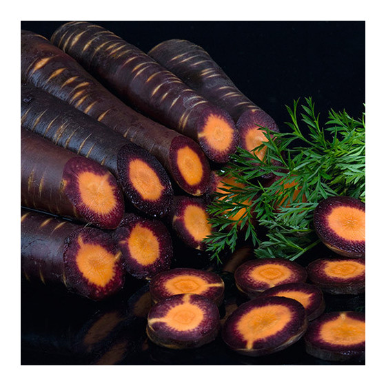 Burkāni Purple Haze, Burkānu sēklas Purple Haze F1, Krāsainie burkāni, Krāsaino burkānu sēklas