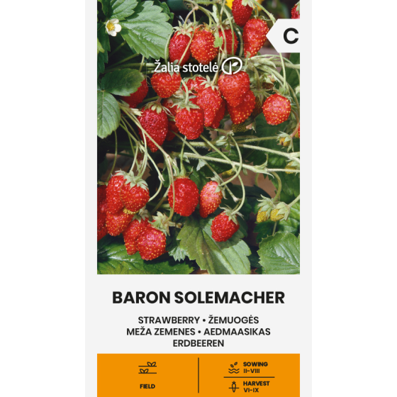 Zemenes BARON SOLEMACHER