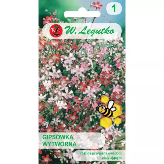 Ģipsenes, ģipseņu sēklas, puķes migliņa, Gleznās ģipsenes, Plīvurpuķes