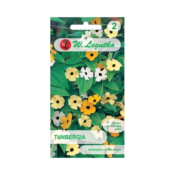 Tunbergija, tunbergiju sēklas, tunbergijas sēklas, tunbergia alata