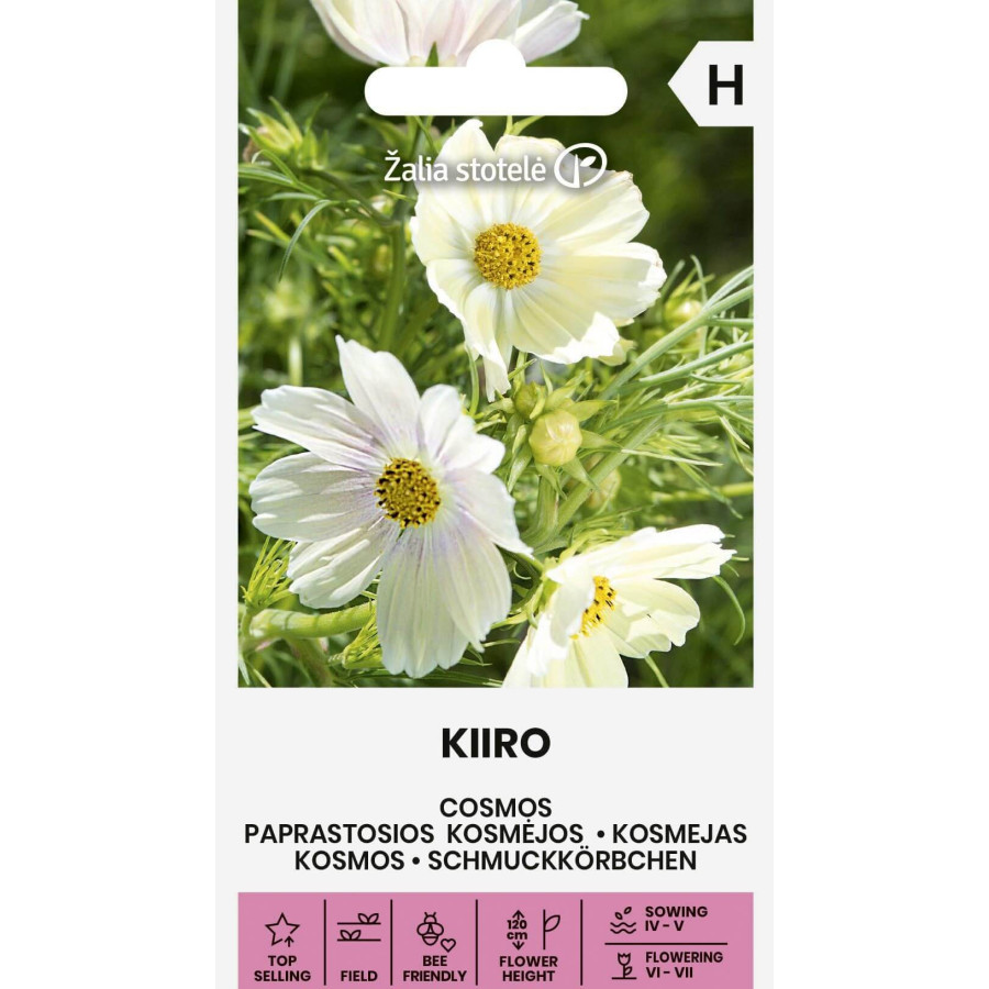 Kosmejas KIIRO, Kosmeja, Kosmejas sēklas, Kosmeju sēklas