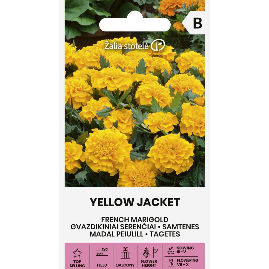 Samtenes YELLOW JACKET, Samtenes, Samteņu sēklas, Zemās samtenes, Zemo samteņu sēklas