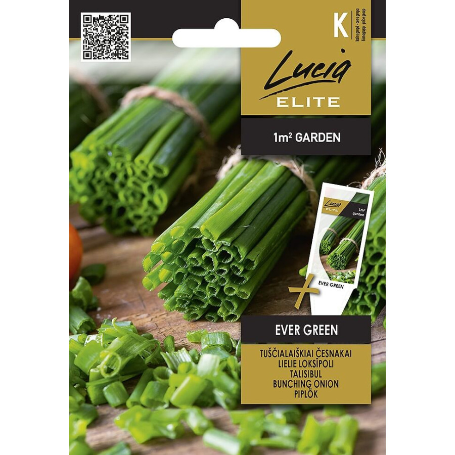 Lielloku sīpoli Ever Green, Sīpolloku sēklas, Loku sīpolu sēklas