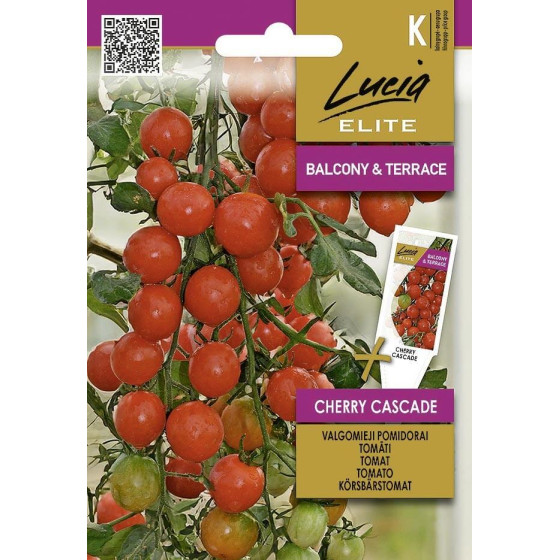 Tomāti CHERRY CASCADE, Tomātu sēklas CHERRY CASCADE