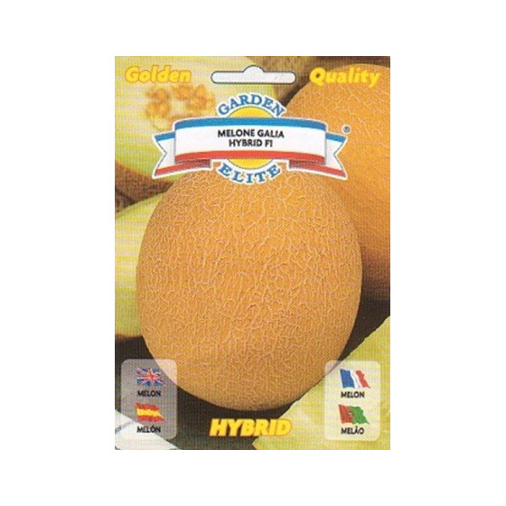 Melones Galia F1, Melones sēklas Galia F1, Meloņu sēklas Galia F1