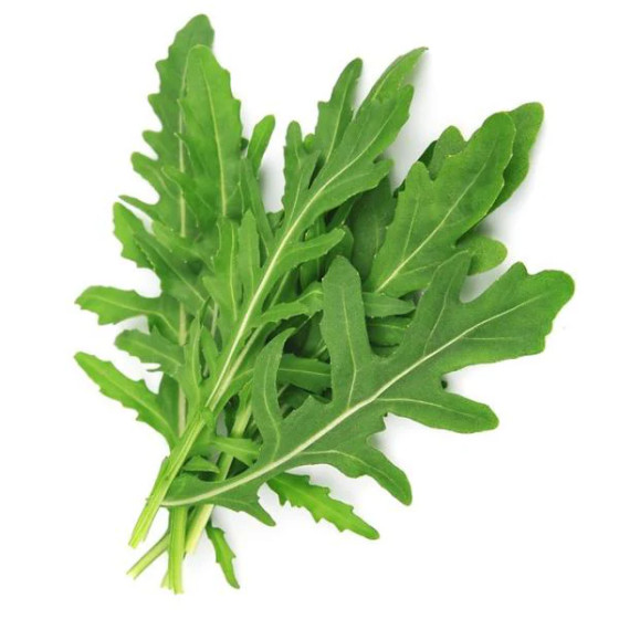 Rukola, Rukolas sēklas, Daudzgadīgā rukola, Sējas pazvērīte, Eruca sativa