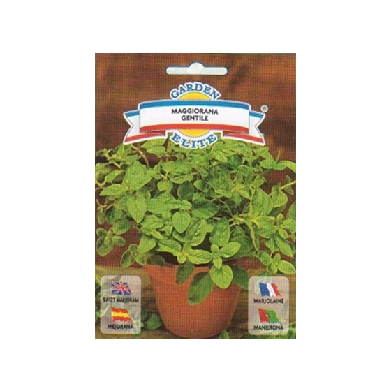 Majorāns, majorāna sēklas, Origanum majorana, Garšaugu sēklas