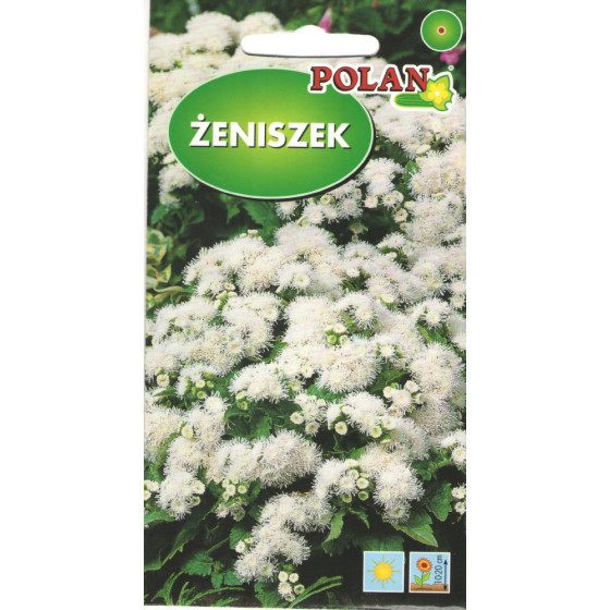 Agerāts meksikas Mix, Agetāti, Agerātu sēklas, Meksikas agerāti