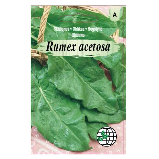 Skābenes platlapu, Platlapu skābenes, skābenes, sēklas, sēklas internetā, sēklu internetveikals