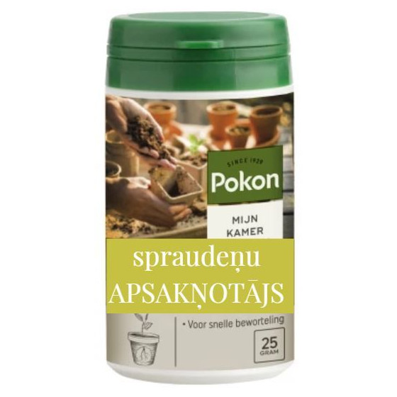 Augšanas aktivators, apsakņotājs, augu apsakņotājs
