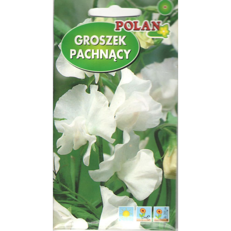 Puķuzirņi Balti, Puķuzirņu sēklas, Lielziedu puķuzirņi, Balti puķuzirņi