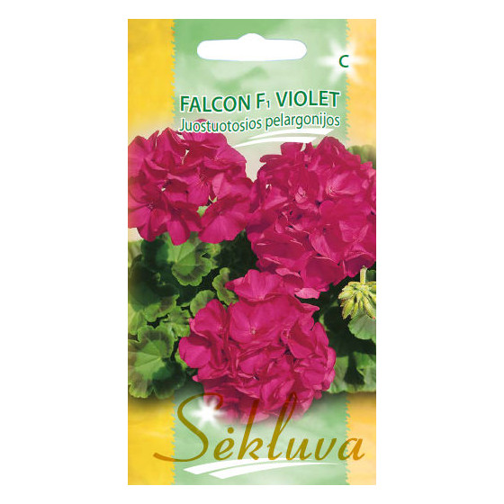 Pelargoniju sēklas, Pelargonija Falcon F1 Violet